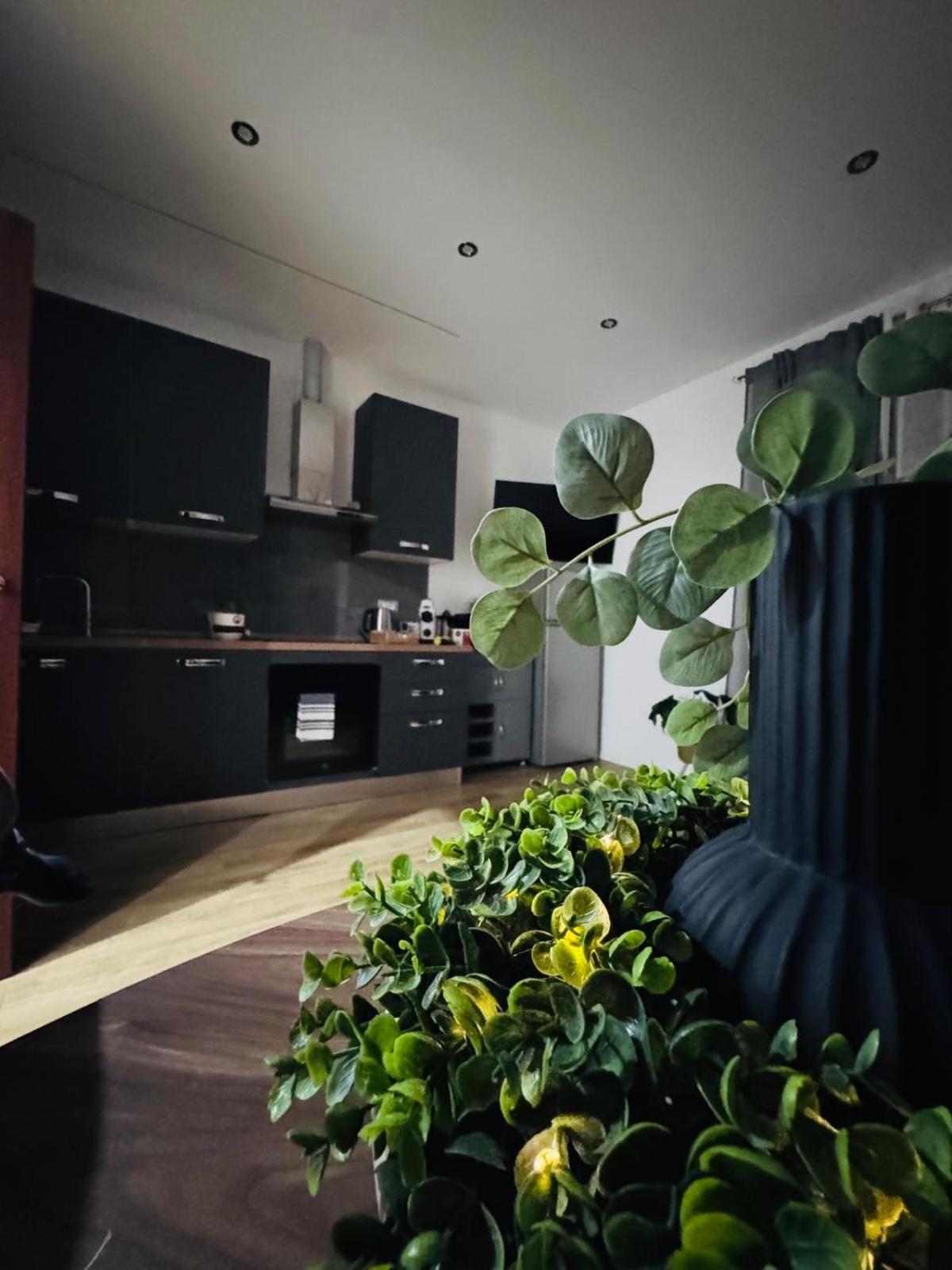 Location San Pietro Apartment